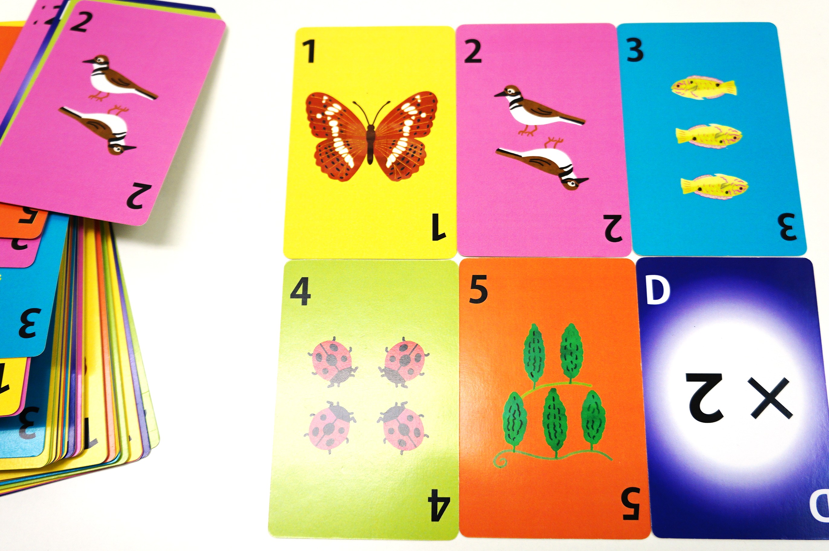 10バランスのカード（並べた写真）